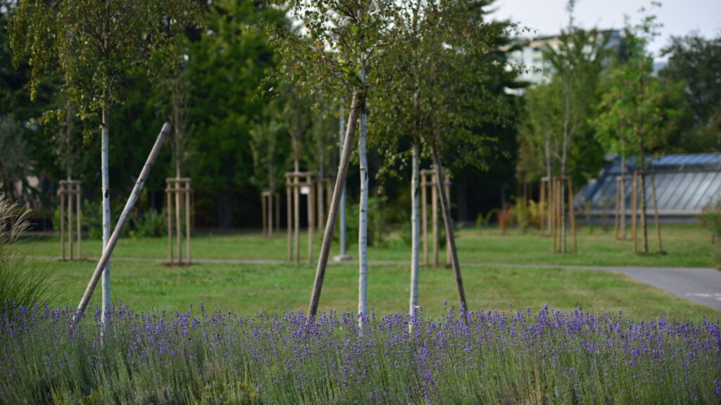 Ökologisierung LKH Graz II Süd