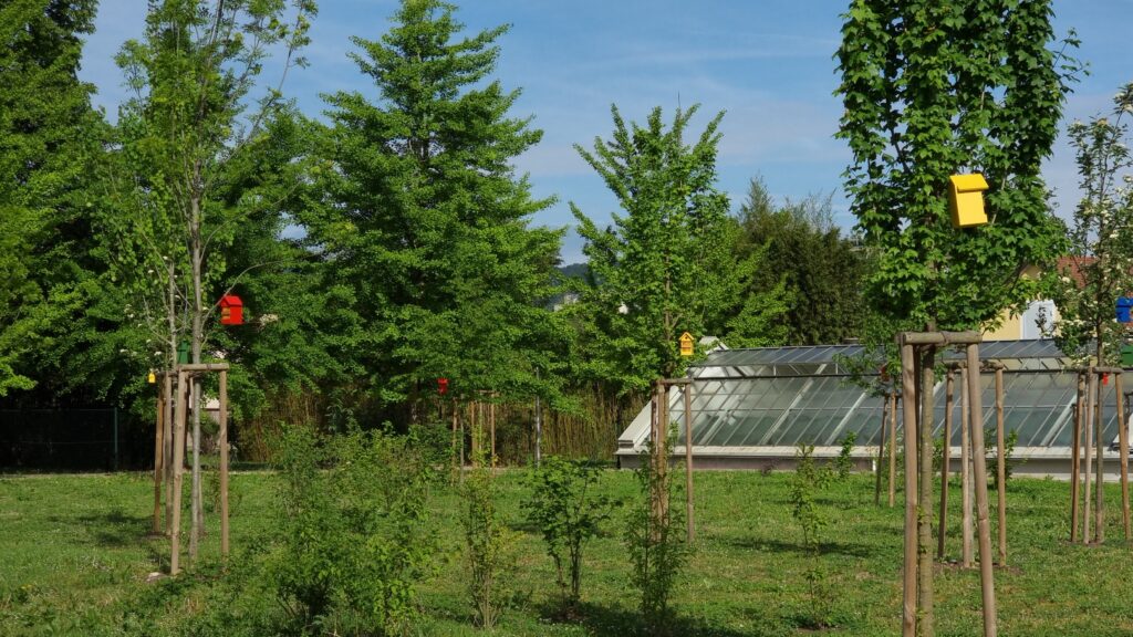 Nistkästen Zukunftswald LKH Graz II Süd
